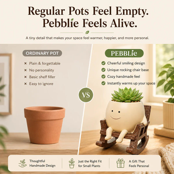 Charming Smiley Planter Pot
