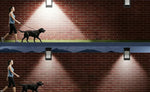 Solar Motion Security Light